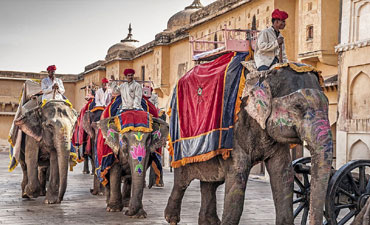 3 Days Jaipur Tour From Delhi